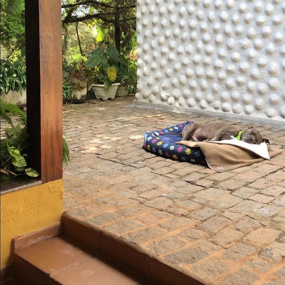 Meet The Posher :) - Picture 5 of 10